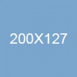 temp_img_1